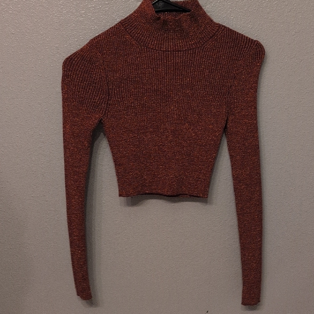 Zara Metallic Rust Turtleneck Sweater